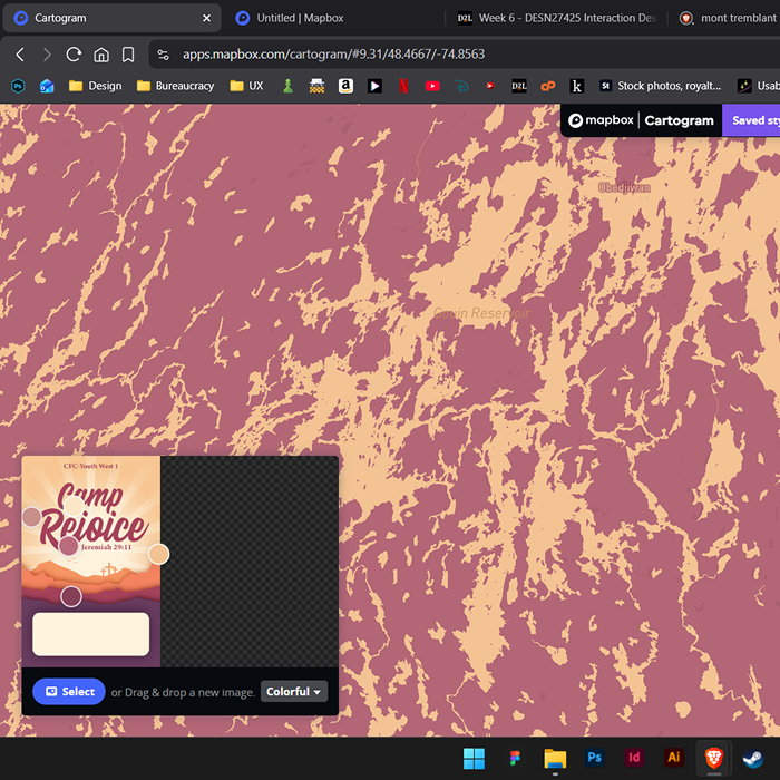 referencing image from a visual identity work I did